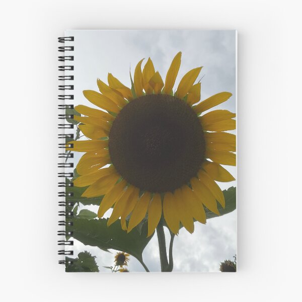 Item preview, Sunflower Days designed and sold by Abeink1030.