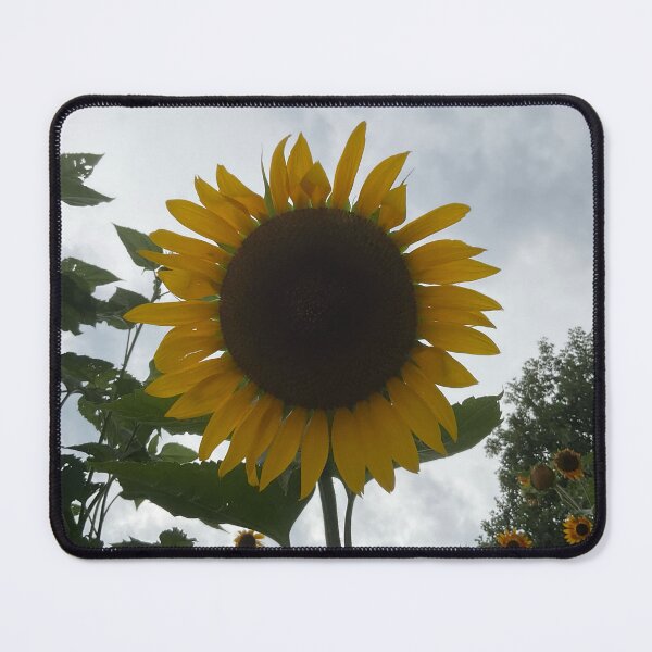 Item preview, Sunflower Days designed and sold by Abeink1030.