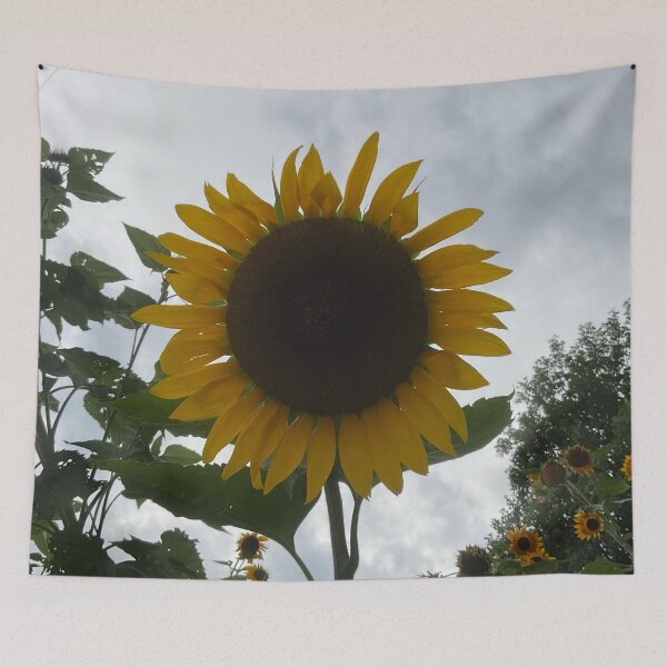 Item preview, Sunflower Days designed and sold by Abeink1030.