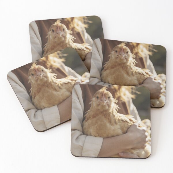 Item preview, Chicken Wall Art Farmhouse Backyard Hen Photography Country Farm Print Rustic Cottage Animal Poster Fine Art Photograph designed and sold by Kzara Visual.