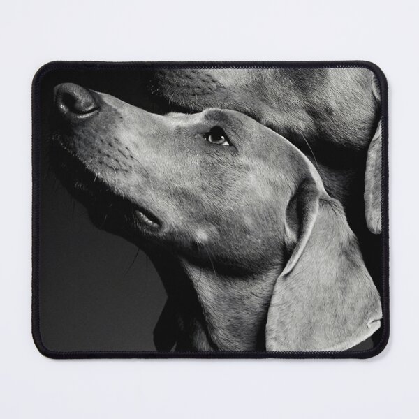 Item preview, Black And White Weimaraner Wall Art Minimalist Dog Portrait Elegant Pet Photography Dog Lover Gift Modern Animal Home Decor Fine Art Print designed and sold by Kzara Visual.