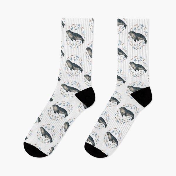 Item preview, Weddell Seal Antarctic Wildlife Illustration | Polar Ocean Animal Art designed and sold by AMICO77.