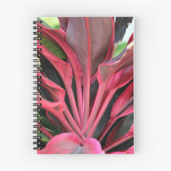 Item preview, Pink Cordyline Tropical Plant Leaves designed and sold by 27Tammy27.