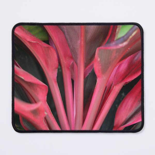 Item preview, Pink Cordyline Tropical Plant Leaves designed and sold by 27Tammy27.