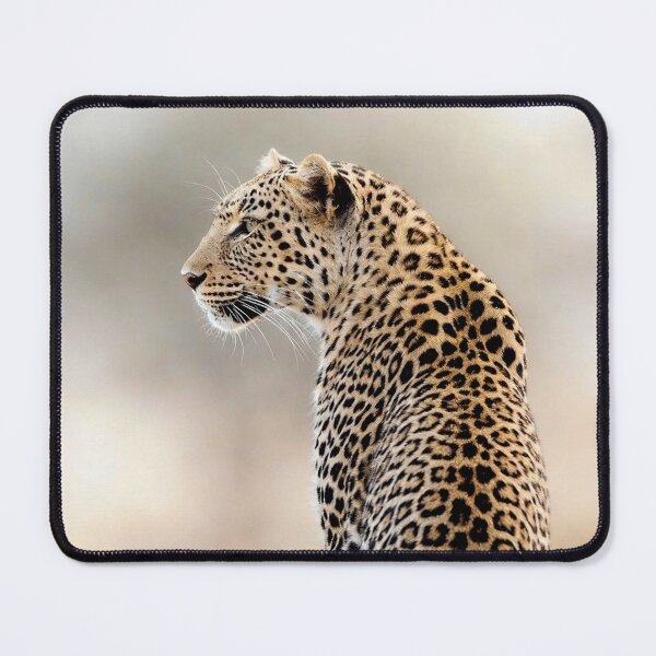 Item preview, Leopard Wall Art For Living Room Statement Decor African Wildlife Photography Print Safari Bedroom Artwork Luxury Nature Lover Gift Poster designed and sold by Kzara Visual.