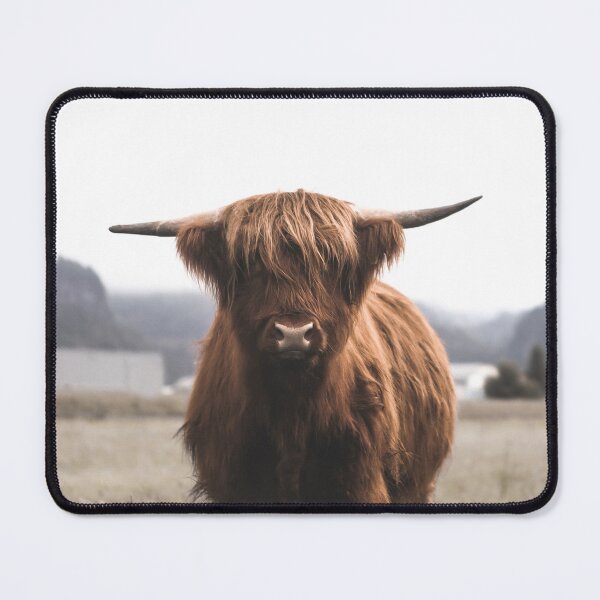 Item preview, Gift For Highland Cow Lover Scottish Cattle Wall Decor Swiss Alps Rustic Farmhouse Art Country Home Housewarming Present Rural Landscape Photography Switzerland Travel designed and sold by Kzara Visual.