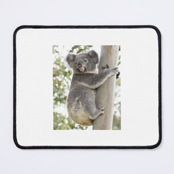 Item preview, Cute Koala Hugging Tree Wildlife Photo designed and sold by FawnPurpleHeart.