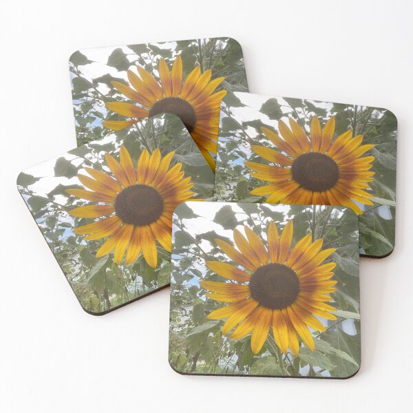 Item preview, Sunny Ray designed and sold by Abeink1030.