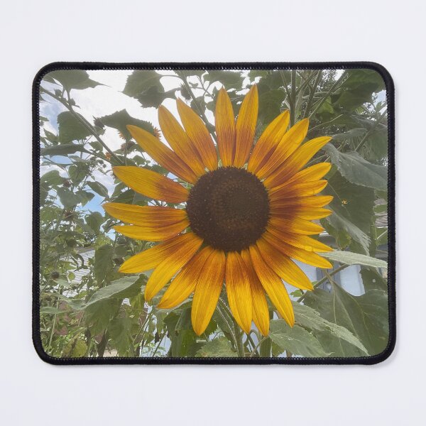 Item preview, Sunny Ray designed and sold by Abeink1030.