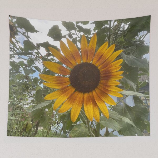Item preview, Sunny Ray designed and sold by Abeink1030.