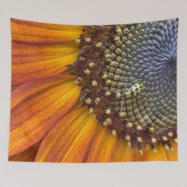 Item preview, Sunny Bug 4 designed and sold by Abeink1030.