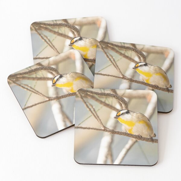 Item preview, Striated Pardalote designed and sold by robdanimalphotography.
