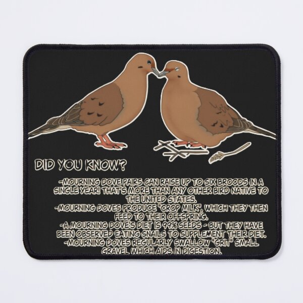 Item preview, Mourning Dove Fun Facts designed and sold by Coolshopsea.
