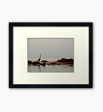 The Sentinel Framed Print