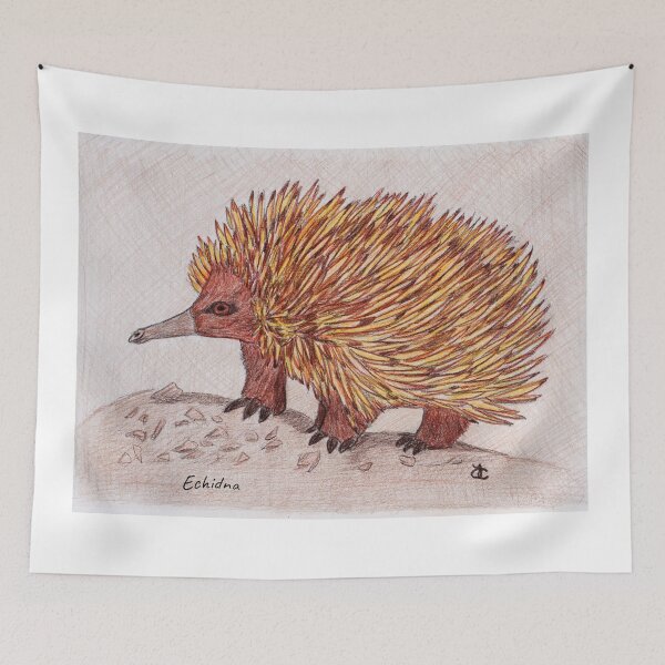 Item preview, Echidna 2 designed and sold by Acetry99.