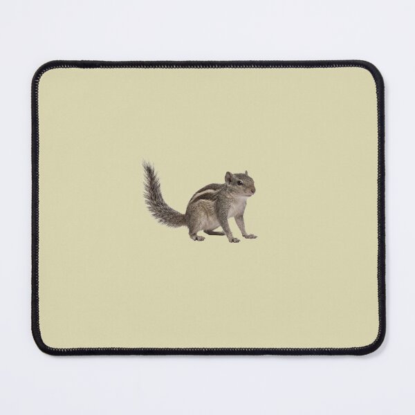 Item preview, Indian palm squirrel designed and sold by ArunDandiboina.