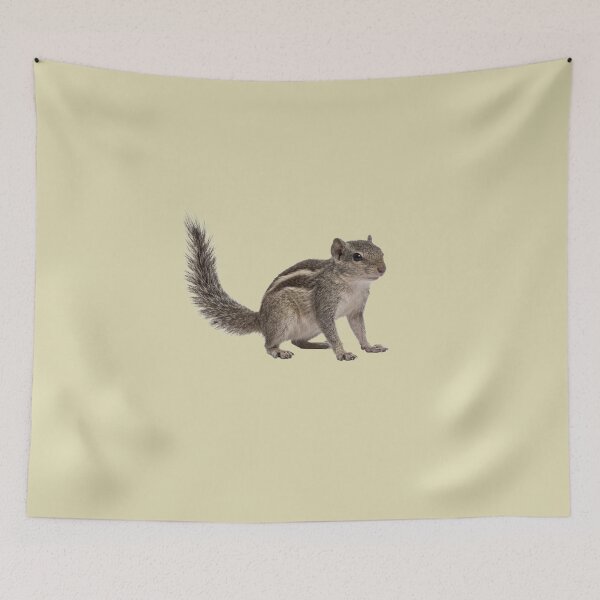 Item preview, Indian palm squirrel designed and sold by ArunDandiboina.