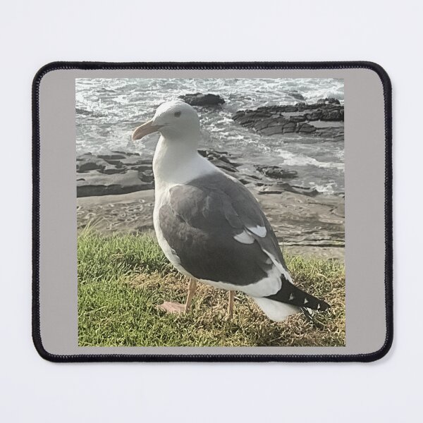 Item preview, segull designed and sold by pksart1.