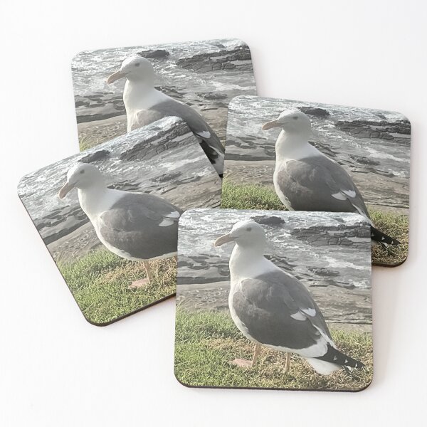 Item preview, segull designed and sold by pksart1.