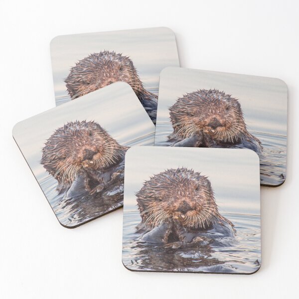 Item preview, Sea Otter Eating a Mollusk in Southeast Alaska designed and sold by AlaskaExtreme.