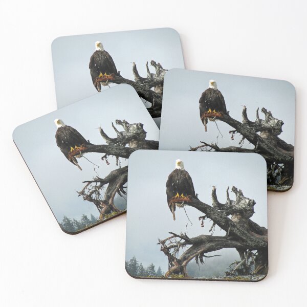 Item preview, A Bald Eagle Perched on Driftwood in Southeast Alaska designed and sold by AlaskaExtreme.