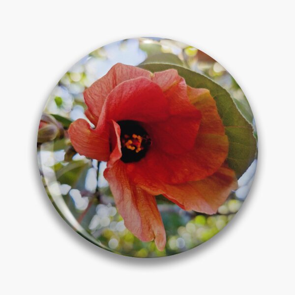 Item preview, summer bloom, sea hibiscus designed and sold by Lunar-Dragon.