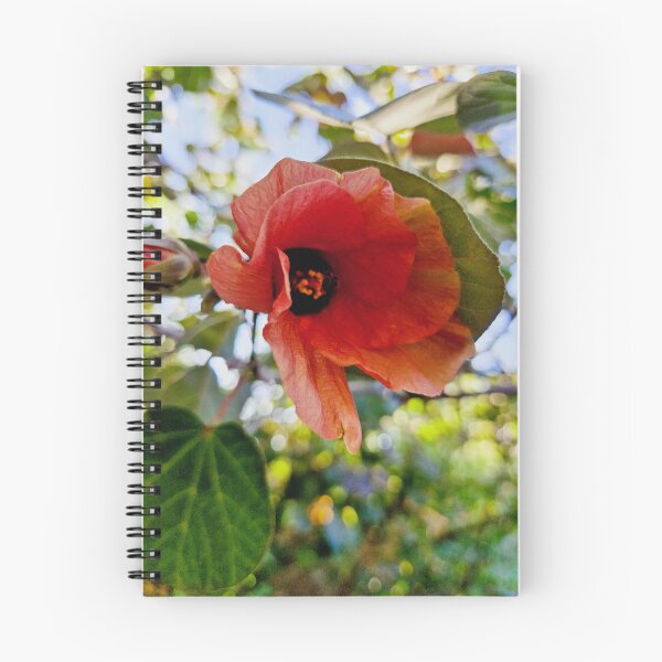 Item preview, summer bloom, sea hibiscus designed and sold by Lunar-Dragon.