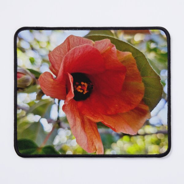 Item preview, summer bloom, sea hibiscus designed and sold by Lunar-Dragon.