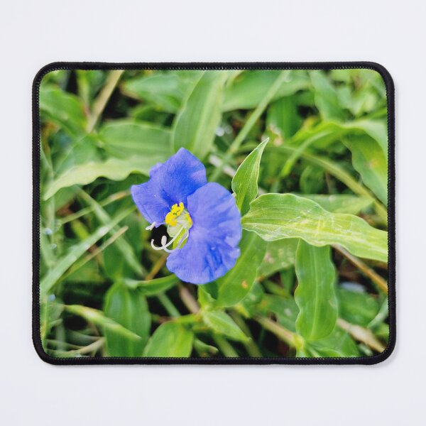 Item preview, summer bloom, slender dayflower designed and sold by Lunar-Dragon.
