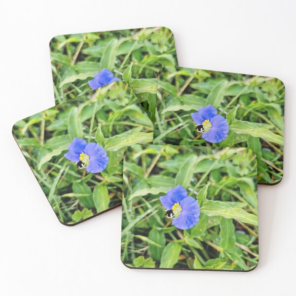 Item preview, summer bloom, slender dayflower designed and sold by Lunar-Dragon.