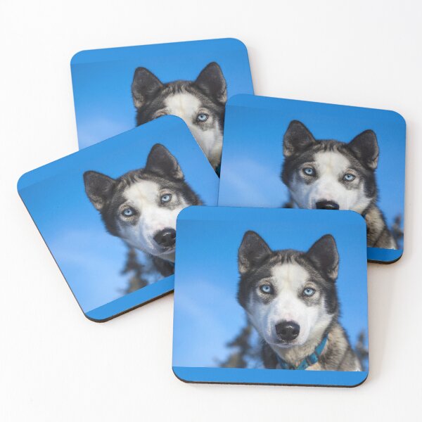 Item preview, Husky Sled Dog in Alaska designed and sold by AlaskaExtreme.