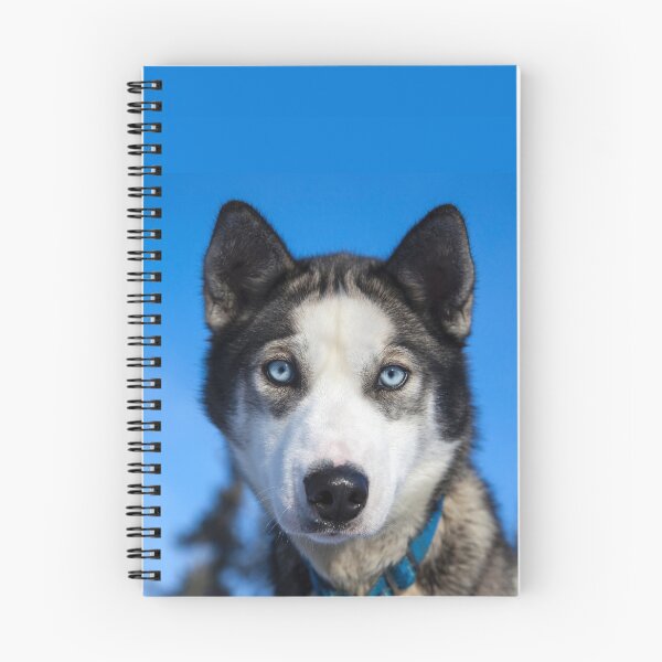 Item preview, Husky Sled Dog in Alaska designed and sold by AlaskaExtreme.