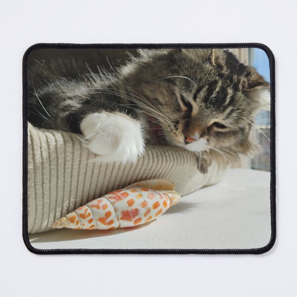 Item preview, Molly and Her Seashell designed and sold by MJoy18.