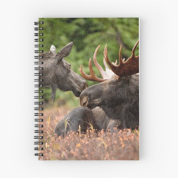 Item preview, Moose in Alaska designed and sold by AlaskaExtreme.