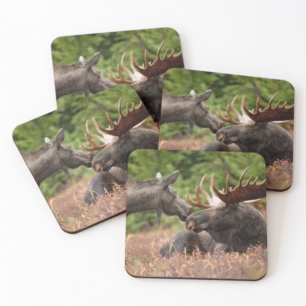 Item preview, Moose in Alaska designed and sold by AlaskaExtreme.
