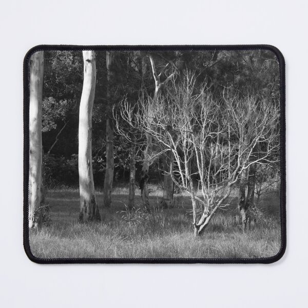Item preview, Naked Baby Tree designed and sold by Pixsell Image.
