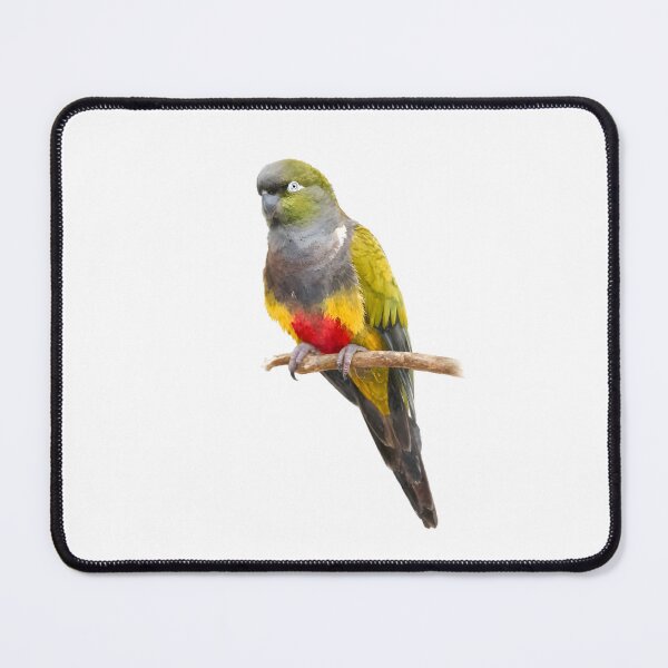 Item preview, Burrowing Parrot (Cyanoliseus patagonus) designed and sold by HOMETOWN86.