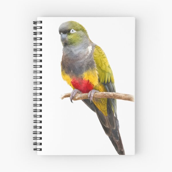 Item preview, Burrowing Parrot (Cyanoliseus patagonus) designed and sold by HOMETOWN86.