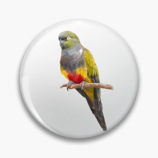 Item preview, Burrowing Parrot (Cyanoliseus patagonus) designed and sold by HOMETOWN86.