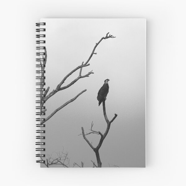 Item preview, Naked Perch designed and sold by Pixsell Image.