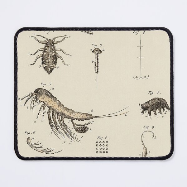 Item preview, The Naturalist designed and sold by The Ravens Ballad.