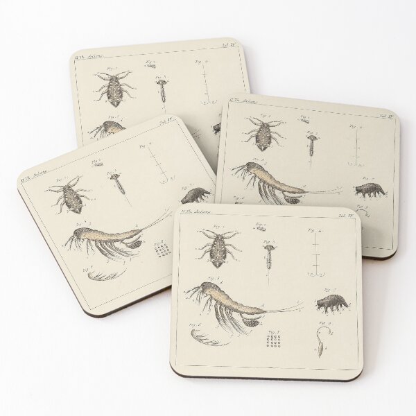 Item preview, The Naturalist designed and sold by Ravens Ballad.