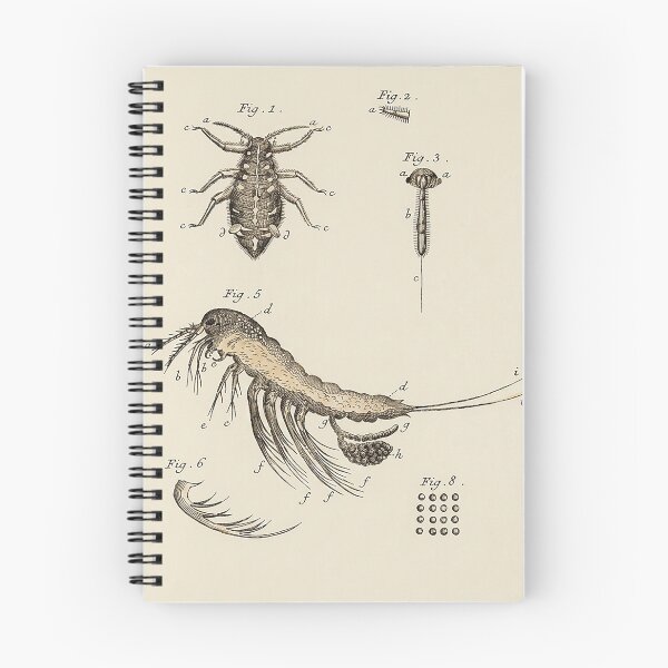 Item preview, The Naturalist designed and sold by The Ravens Ballad.