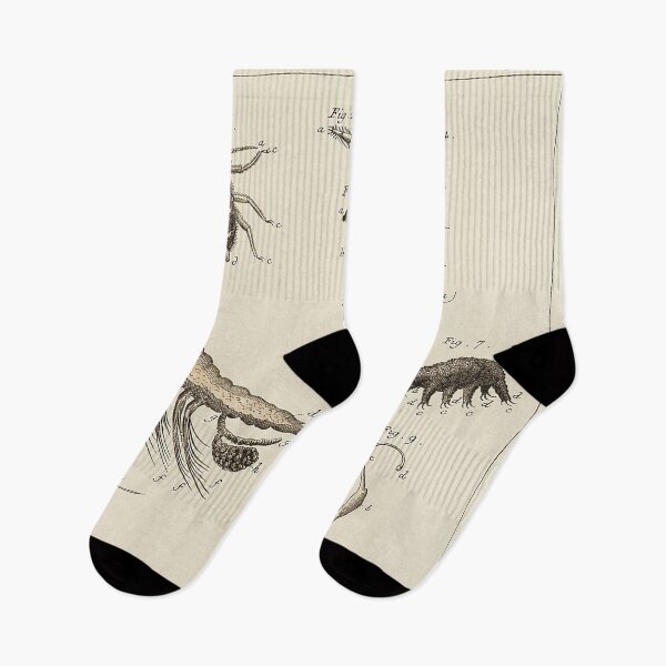 Item preview, The Naturalist designed and sold by The Ravens Ballad.