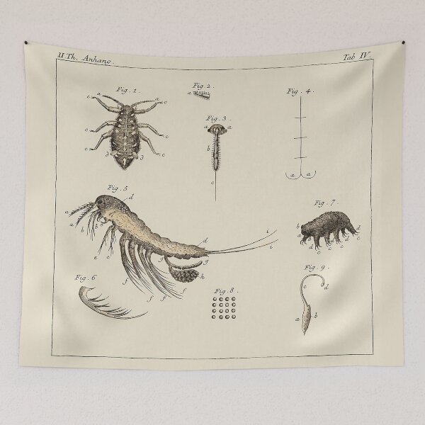 Item preview, The Naturalist designed and sold by The Ravens Ballad.