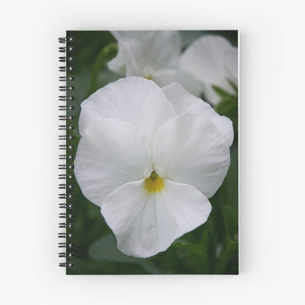 Item preview, White garden Violet designed and sold by Jouko Lehto Photography.