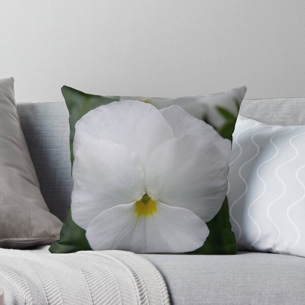 Item preview, White garden Violet designed and sold by Jouko Lehto Photography.