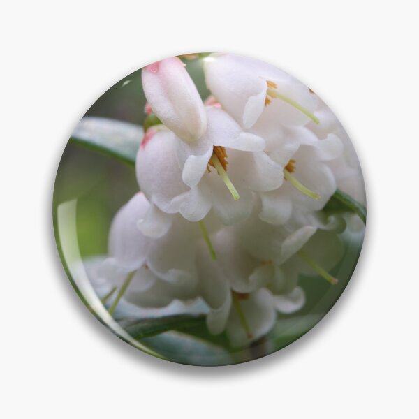 Item preview, Summer flowers. Lingonberry designed and sold by Jouko Lehto Photography.