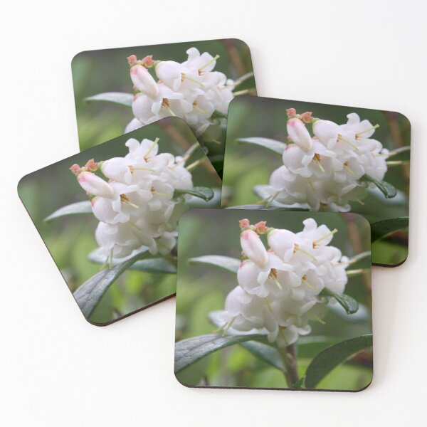 Item preview, Summer flowers. Lingonberry designed and sold by Jouko Lehto Photography.