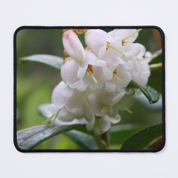 Item preview, Summer flowers. Lingonberry designed and sold by Jouko Lehto Photography.